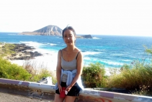 Executive Private Circle Island Tour