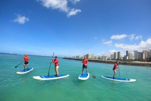 Waikiki: Standup paddle-lektioner for familier, private og grupper