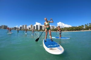 Waikiki: Standup paddle-lektioner for familier, private og grupper