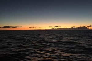 Waikiki : Croisière en catamaran pour les feux d'artifice du vendredi soir