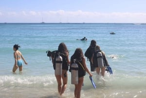 Waikiki: Honolulu Beginner Scuba Diving with Videos
