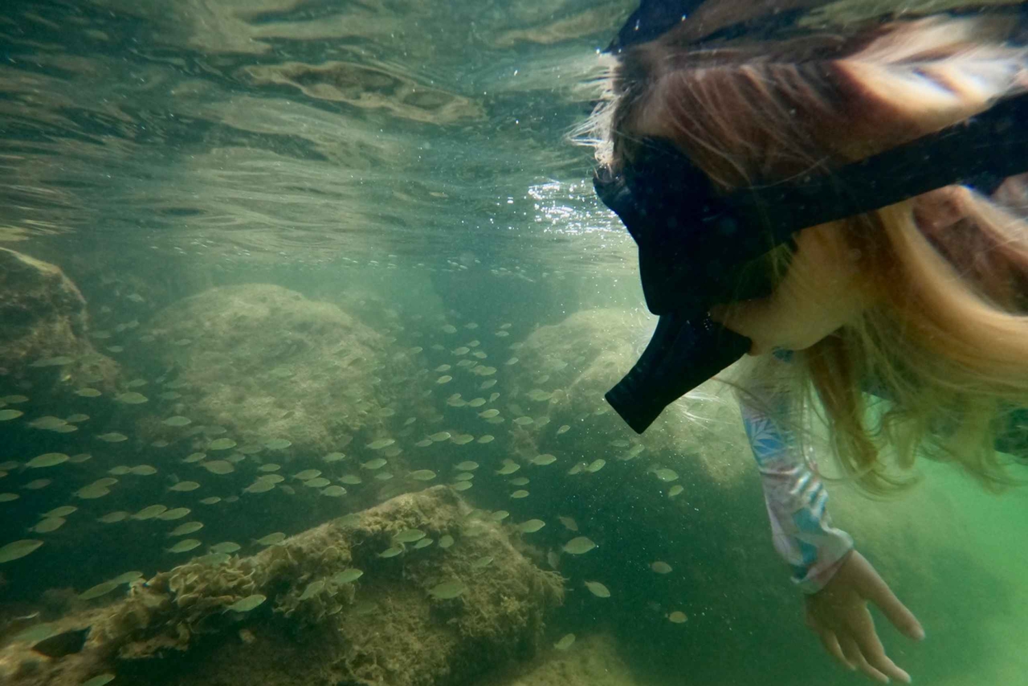 Waikiki: Honolulu: Aloittelijan snorklauskierros videoiden kanssa.