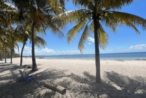 Waikiki: Honolulu Beginner Snorkeling Tour with Videos