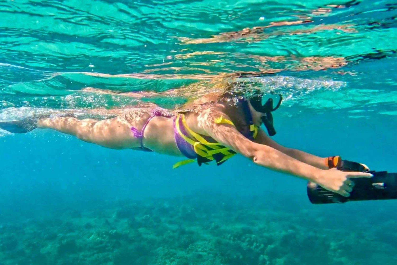 Waikiki: Monk Seal Bay Dolfijn en schildpadden Jet Snorkeltour