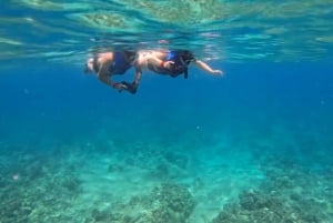 Waikiki: Passeio de mergulho com snorkel com jato de golfinhos e tartarugas em Monk Seal Bay