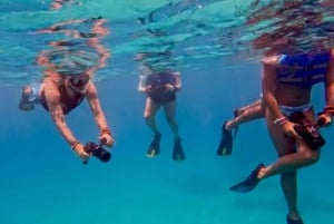 Waikiki: Monk Seal Bay Dolphin and Turtle Jet Snorkel Tour (snorkeltur med delfiner og skilpadder)