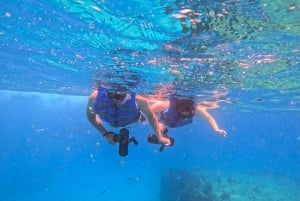 Waikiki: Monk Seal Bay Snorkeltur med delfiner och sköldpaddor