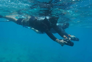 Waikiki: Monk Seal Bay Delfin und Schildkröte Jet Schnorchel Tour