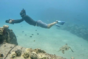 Waikiki : Excursion de plongée en apnée pour les dauphins et les tortues de la baie de Monk Seal