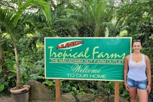 Waikiki: Oahu in een dag Rondreis