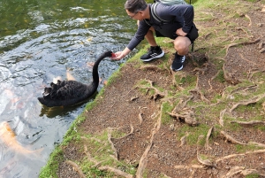 Вайкики: Остров Оаху за один день — круговой тур по острову
