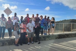 Вайкики: Остров Оаху за один день — круговой тур по острову