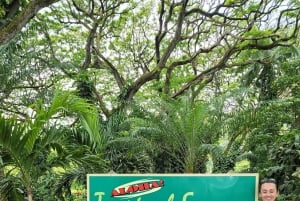 Вайкики: Остров Оаху за один день — круговой тур по острову