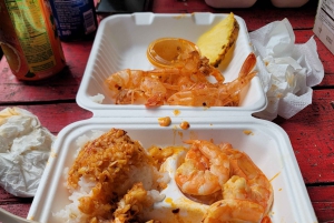 Вайкики: Остров Оаху за один день — круговой тур по острову