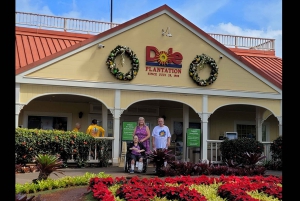 Вайкики: Остров Оаху за один день — круговой тур по острову