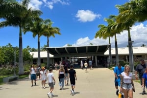 Waikiki: Pearl Harbor, Memorial do USS Arizona e excursão a Honolulu