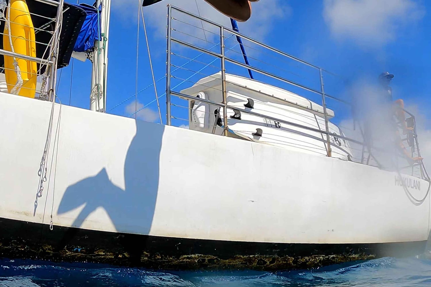 Waikiki : expérience de voile et de plongée avec les tortues