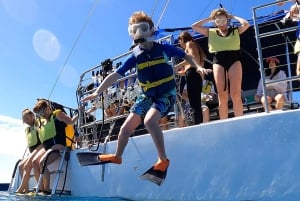 Waikiki: Sejltur og snorkling med skildpadder