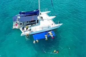 Waikiki: Sejltur og snorkling med skildpadder