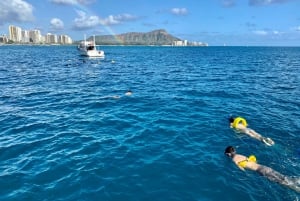 Waikiki: snorkling med havskilpadder på båttur (maks seks personer)