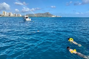 Waikiki: Snorkling med havskilpadde, båttur i liten gruppe