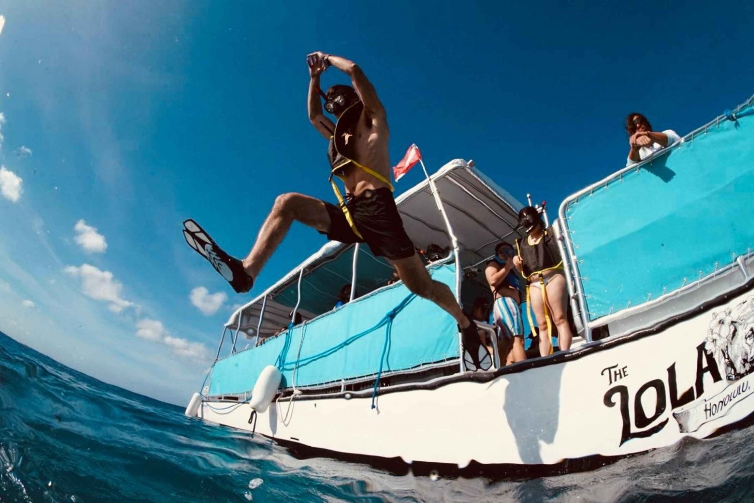 Waikiki: Snorkeltur med Hawaiis gröna havssköldpaddor
