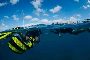 Waikiki: passeio de mergulho com snorkel com tartarugas marinhas verdes havaianas
