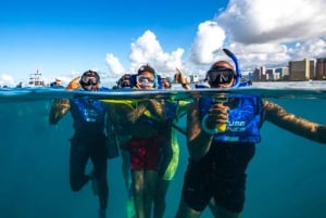 Waikiki: Schnorcheltour mit Hawaiianischen Grünen Meeresschildkröten