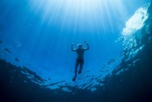 Waikiki: Wycieczka z rurką z hawajskimi zielonymi żółwiami morskimi