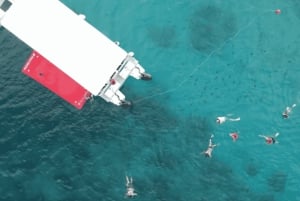 Waikiki: Wycieczka z rurką z hawajskimi zielonymi żółwiami morskimi