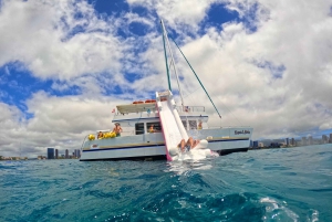 Snorkel en Waikiki y aventura en el parque acuático Ocean Waterpark