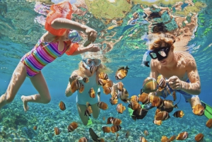 Snorkel en Waikiki y aventura en el parque acuático Ocean Waterpark