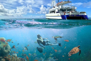 Snorkel en Waikiki y aventura en el parque acuático Ocean Waterpark