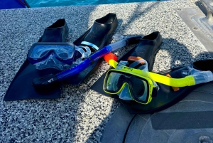 Snorkel en Waikiki y aventura en el parque acuático Ocean Waterpark