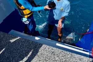 Snorkel en Waikiki y aventura en el parque acuático Ocean Waterpark