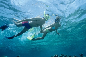 Snorkel en Waikiki y aventura en el parque acuático Ocean Waterpark