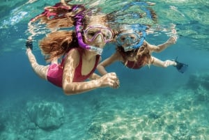 Snorkel en Waikiki y aventura en el parque acuático Ocean Waterpark