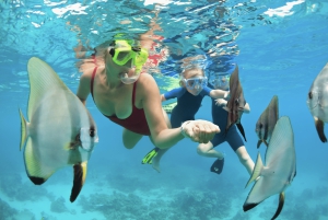 Snorkel en Waikiki y aventura en el parque acuático Ocean Waterpark