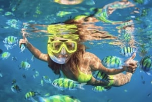Snorkel en Waikiki y aventura en el parque acuático Ocean Waterpark