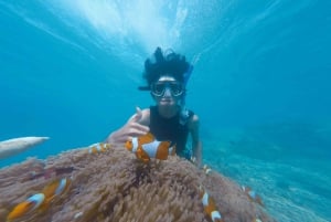 Waikiki: Snorkling och lek i havet