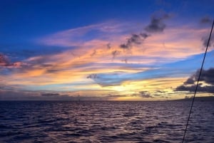 Waikiki: Katamaran-cruise ved solnedgang