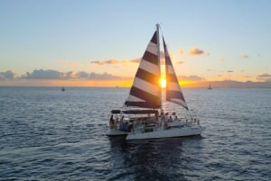 Waikiki: Sonnenuntergang mit Schwimmen und Segeln