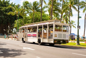 Waikiki Trolley Hop-on Hop-off 1, 4 or 7-Day All-Line Pass
