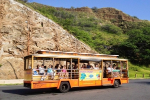 Waikiki Trolley Hop-on Hop-off 1, 4 or 7-Day All-Line Pass