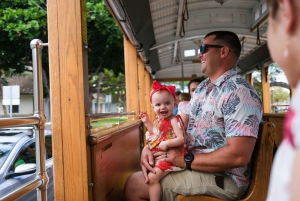 Waikiki Trolley Hop-on Hop-off 1, 4 or 7-Day All-Line Pass