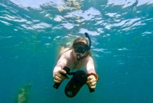 Oahu: Snorkletur med Waikiki Jet med videoer og skilpadder