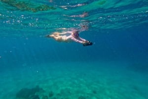 Oahu: Waikiki Jet Snorkeling Tour kanssa videoita ja kilpikonnia
