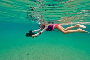 Oahu : Tour de plongée en jet à Waikiki avec vidéos et tortues