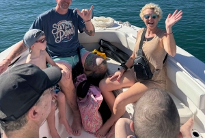 Вайкики: сноркелинг в Черепашьем каньоне (до 6 пассажиров)