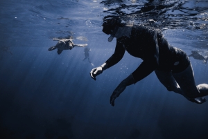 Вайкики: сноркелинг в Черепашьем каньоне (до 6 пассажиров)